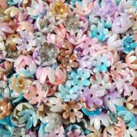 Gambar Aneka Manik Kelopak Cangkang 18 mm Per 25 gram - Bening dari Gama Craft & Accessories undefined 1 Tokopedia