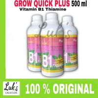 Gambar GROW QUICK PLUS 500 VITAMIN B1 plus thiamine anti stress tanaman - BOTOL BESAR dari SEPUTAR PUPUK undefined 1 Tokopedia