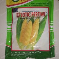 Gambar Benih Jagung Manis EXOTIC pertiwi - 250gr (ok) dari cipta jaya pertanian undefined 1 Tokopedia