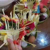Gambar sodan tamas gede 5 macam buah dari toko permata kreo undefined 3 Tokopedia