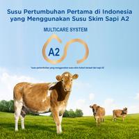 Gambar S-26 Ultima Procal 1-3 Tahun Can - Susu Formula Anak dari Baby Wise BSD undefined 4 Tokopedia