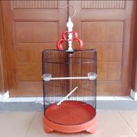 Gambar SANGKAR BURUNG BESI JUMBO KANDANG MURAI BESI SANGKAR BURUNG JALAK dari Jays Pets Co undefined 3 Tokopedia