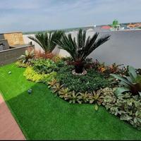 Gambar taman minimalis Jabodetabek dari Yorss plants store undefined 1 Tokopedia
