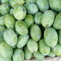 Gambar Buah Mangga Manalagi Simanalagi - 1/2 kg dari Doyan Daging Store Depok undefined 1 Tokopedia