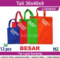 Gambar (1 Lusin) tali 30x40x8 cm Tas Kain Spunbond / 1 pack isi 12pcs Kantong Plastik - Putih dari spunbond grosir_NEW undefined 1 Tokopedia