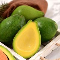 Gambar Buah 1 Kg Alpukat Mentega Polos, Buah Fresh Same Day Delivery, Jogja dari Hayaaolshop Tokopedia undefined 2 Tokopedia