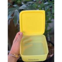Gambar Cuci Gudang Small Summer Summer Set Tupperware Limited - Small summer dari iced shop12 undefined 3 Tokopedia