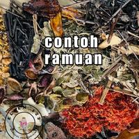 Gambar Pesenan Resep obat herbal - obat cina rempah dari Bryst undefined 1 Tokopedia