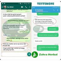 Gambar Obat Tradisional Radang Panggul, Infeksi Serviks, Infeksi Rahim dari abdulsyukur undefined 5 Tokopedia