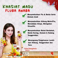 Gambar FLUBA ANABA Madu Herbal Atasi Batuk Pilek Flu  anak dan dewasa dari Zafa Herbal Store undefined 3 Tokopedia