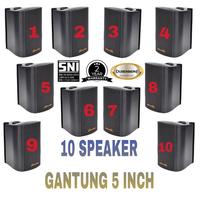 Gambar Paket Sound DUSENBERG Speaker 10 Titik 5 Inch Indoor Mesjid, Cafe, Dll dari Dusenberg Audio Official Store undefined 4 Tokopedia