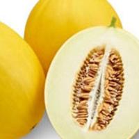 Gambar Bibit Unggul Melon Golden Laguna | Biji Benih Melon Golden Laguna dari De Coral undefined 2 Tokopedia