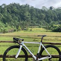 Gambar frame roadbike carbon Focus Cayo dari Nobhita Barokah undefined 3 Tokopedia