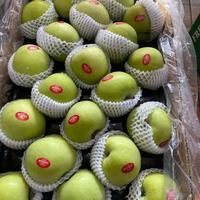 Gambar buah apel green smith 1kg dari nuri fruits 1 undefined 1 Tokopedia