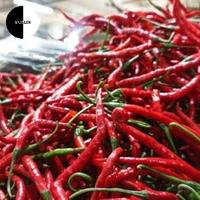 Gambar Cabe Merah - 100gr dari Yomin Store undefined 1 Tokopedia