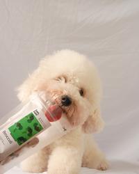 Gambar KAMKAM Pet Treats: Broccoli | Snack Anjing dan Kucing dari KAMKAM Official undefined 3 Tokopedia