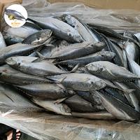 Gambar ikan Tengkek(FROZZEN FISH) dari alfano frozzen fish undefined 3 Tokopedia