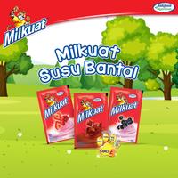 Gambar Susu Milkuat Kemasan Bantal 50ml Coklat - Strawberry - Coklat dari Alfa Snack_NEW undefined 2 Tokopedia