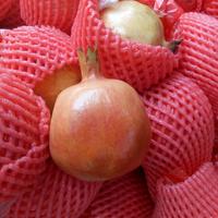 Gambar Buah Delima Merah dijual Satuan dari valeriieshop undefined 1 Tokopedia