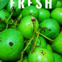 Gambar Buah Gandaria, Jatake, Kundang / 100 Gram dari Ayabanda undefined 1 Tokopedia