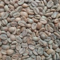 Gambar Green Bean kopi arabika yellow catura Honey 1Kg dari kopi cibunar Linggajati undefined 3 Tokopedia