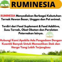Gambar NEOBRO 250 Gram MEDION Vitamin Penambah Berat Penggemuk Ayam Broiler dari RUMINESIA undefined 3 Tokopedia