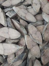 Gambar Ikan Tenggiri steak premium frozen kemasan 1 kg dari kiatcell undefined 5 Tokopedia