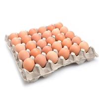 Gambar TELOR AYAM NEGERI BESAR 1 KRAT TRAY TELUR NEGRI 30 BUTIR PCS dari chikicheesecake2 undefined 2 Tokopedia