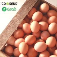 Gambar TELOR AYAM NEGERI 1 KRAT TRAY TELUR NEGRI 30 BUTIR PCS dari chikicheesecake2 undefined 1 Tokopedia