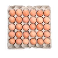 Gambar TELOR AYAM NEGERI 1 KRAT TRAY TELUR NEGRI 30 BUTIR PCS dari chikicheesecake2 undefined 3 Tokopedia