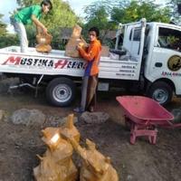 Gambar Tanaman Bonsai Klampis Arabika 40 cm Bahan REAL PICT Terbatas KD 02055 dari Mustika Djamue undefined 4 Tokopedia