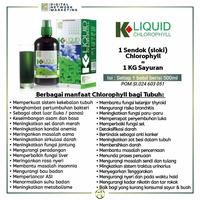 Gambar Klorofil K Liquid Chlorophyll K Link Original Klink dari klinkoriginalid undefined 5 Tokopedia
