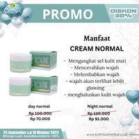 Gambar exklusif normal krim BATRISYIA (Day&Night cream) dari shanti martin undefined 1 Tokopedia