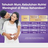 Gambar TERBARU Anmum Materna Susu Nutrisi Ibu Hamil Cokelat 2 x 400g - Bundle dari TOKO OLVANDA undefined 3 Tokopedia