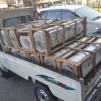 Gambar AICA HPL AICA MB 025 DN74 - PINUS - WOODGRAIN dari KIOS MBAK NAFISA undefined 2 Tokopedia