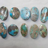 Gambar NATURAL PIRUS PERSIA-B - 10 dari Amualif Persia 02 undefined 2 Tokopedia