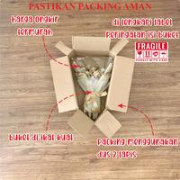 Gambar Bucket Bouquet buket bouket kado hadiah gift give bunga tunangan - NONBONEKA PINK dari Kapel Project undefined 5 Tokopedia