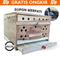 Gambar GUPON BURUNG MERPATI PAGUPON TONG DARA dari BAKUL MANUKS undefined 3 Tokopedia