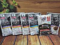 Gambar Pro Plan Pouch 85 gram - Makanan Kucing Basah Sachet - 7+ chicken dari Fortune Petshop Senen undefined 2 Tokopedia