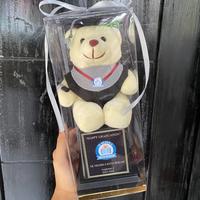 Gambar PIALA BONEKA (PILBON) WISUDA / ULTAH dari Mooi_Ko undefined 1 Tokopedia