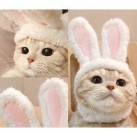 Gambar Topi Kelinci untuk Kucing dari Menel petshop undefined 1 Tokopedia
