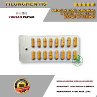Gambar Yunsan Paiyao Obat Luka Dalam Pendarahan Yunnan Paiyao Melastoma Brand dari Yilonghen HS undefined 3 Tokopedia