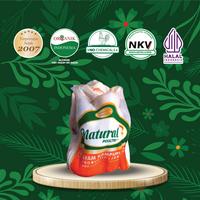 Gambar Paket 3 Ayam Kampung (700-800 gram) - Natural Poultry dari Belanja Segar Bali undefined 4 Tokopedia