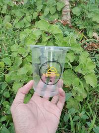 Gambar Cetak sablon gelas cup plastik 16oz oval - 1 warna, 9 gram dari Rajaindopack46 undefined 3 Tokopedia