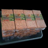 Gambar GoodSeed - Biji Gandum (Benih Wheatgrass) Superfood Rumput Kucing 1 kg dari GardeNingrat undefined 5 Tokopedia