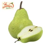 Gambar BUAH PIR HIJAU / PIR JAMBU / PEAR PAKCHAM GROSIR 1 DUS dari Saudagar Buah undefined 3 Tokopedia