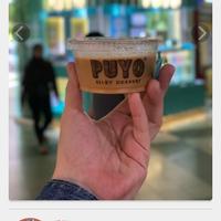 Gambar puyo silky desserts pudding 12pcs dari LyLovLieolshop undefined 5 Tokopedia
