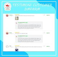 Gambar MANFISH RED DEVIL GOOD QUALITY SIZE BY REQUES dari DELIMAMERAHFARM STORE undefined 4 Tokopedia