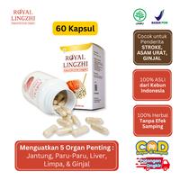 Gambar Royal Lingzhi Asli Original Obat Stroke Pemulih Struk Kanan Kiri dari Kalafit undefined 3 Tokopedia