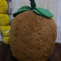 Gambar Boneka Kiwi Fruits New Tag dari INevlogia undefined 2 Tokopedia